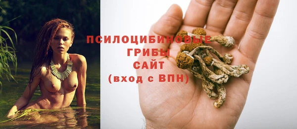 трава Няндома