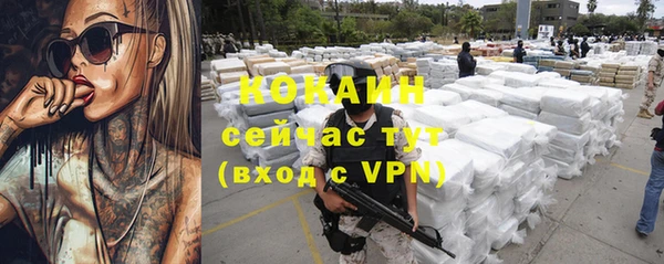 трава Няндома