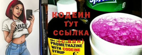 гашик Инсар